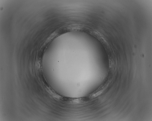 X0000073420382200608251556