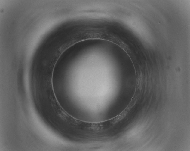 X0000073420383200608251556