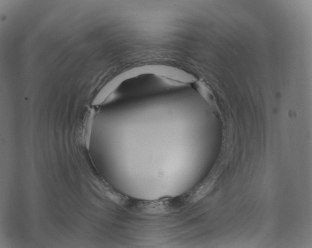 X0000073420384200608251556