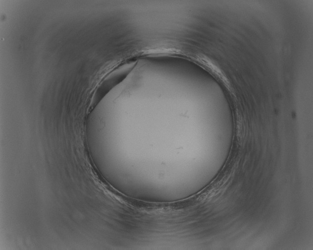 X0000073420385200608251555