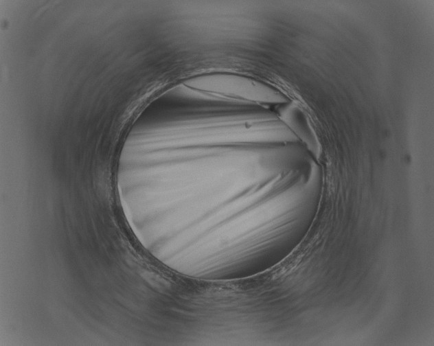 X0000073420386200608251555