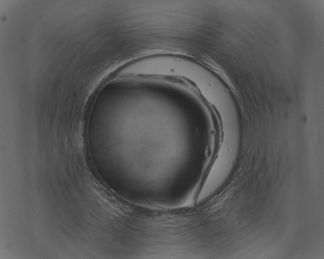 X0000073420387200608251555