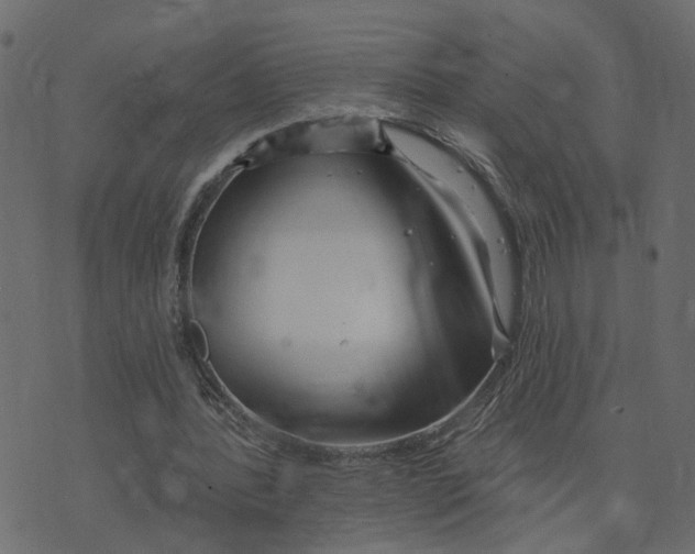 X0000073420388200608251555