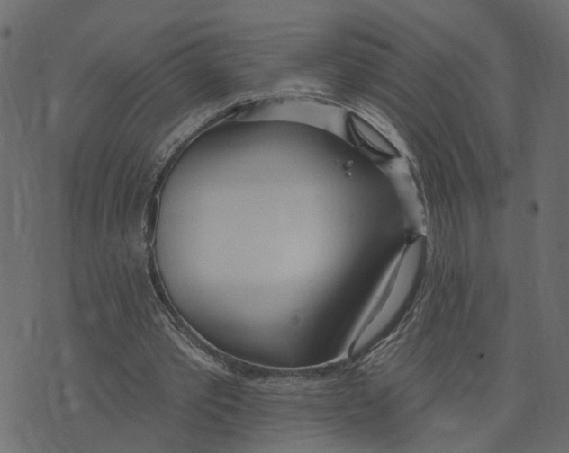 X0000073420389200608251555