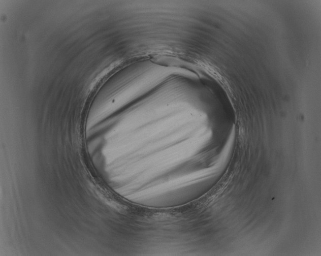 X0000073420390200608251555