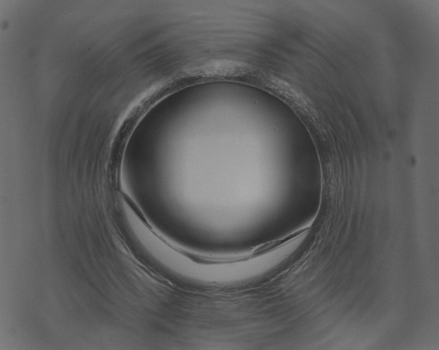 X0000073420392200608251555