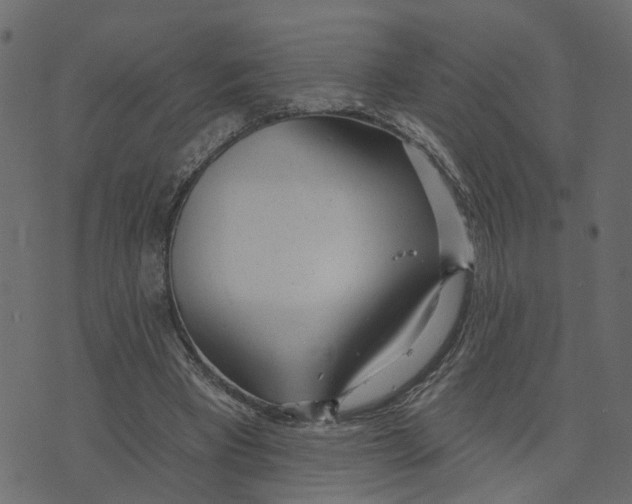 X0000073420393200608251555