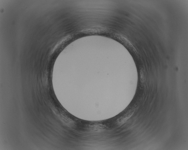 X0000073420396200608251555