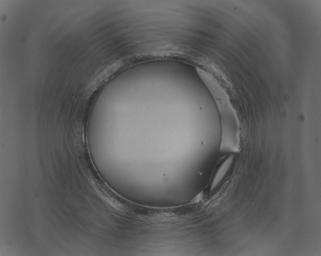 X0000073420397200608251555