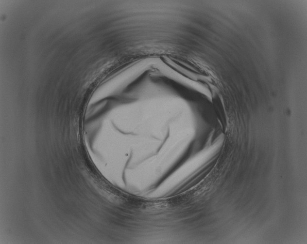 X0000073420398200608251555