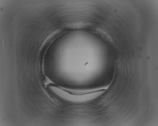 X0000073420400200608251555