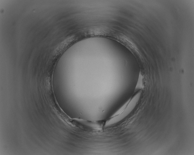 X0000073420401200608251555