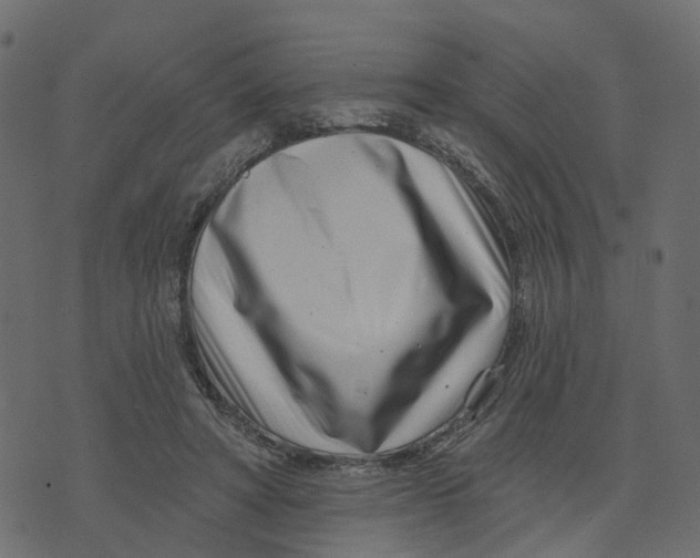 X0000073420402200608251555