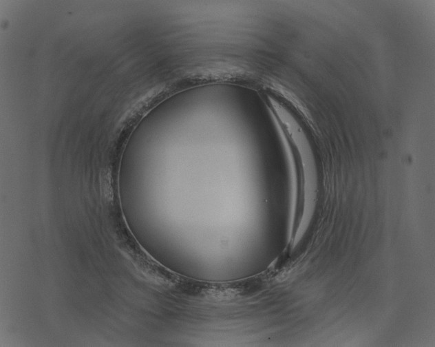 X0000073420403200608251555