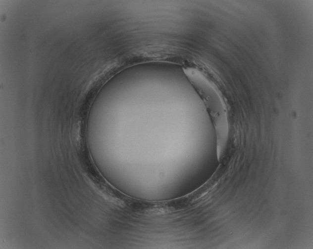 X0000073420404200608251555