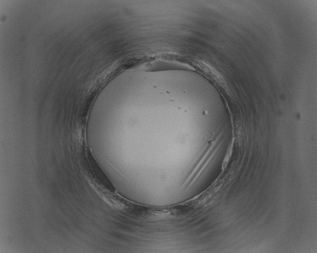 X0000073420405200608251555