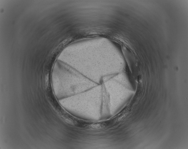 X0000073420406200608251555