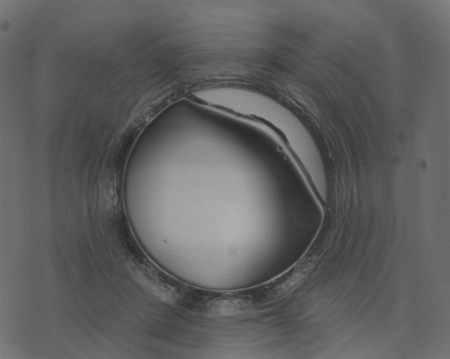 X0000073420408200608251555