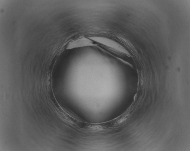 X0000073420409200608251555