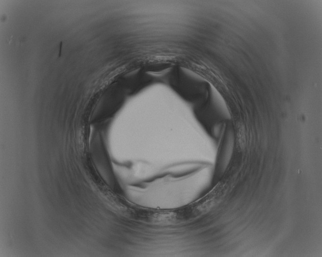 X0000073420410200608251555