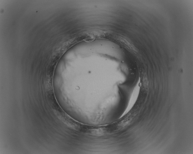 X0000073420411200608251555