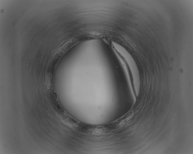 X0000073420412200608251555