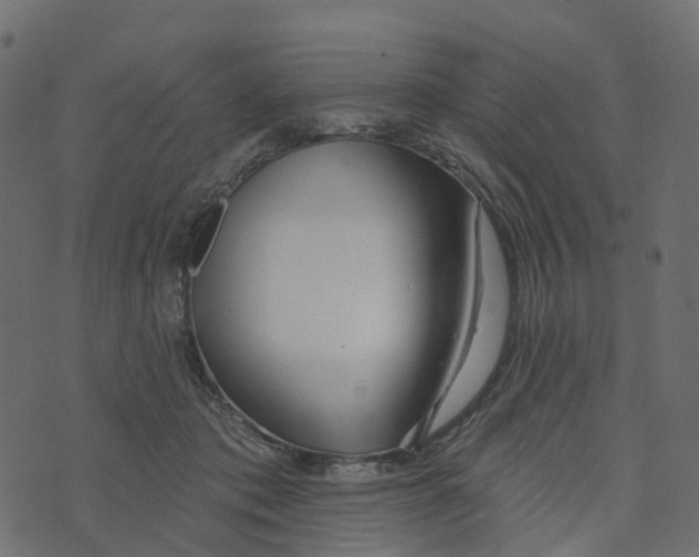 X0000073420413200608251555