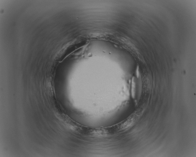 X0000073420415200608251555