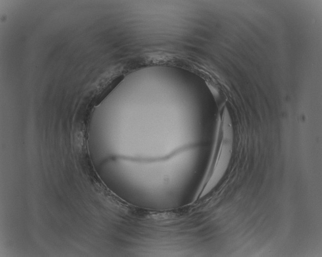 X0000073420417200608251555