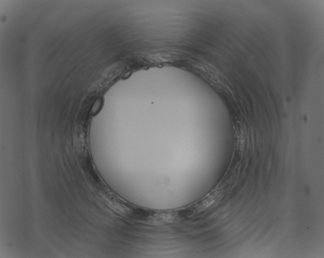 X0000073420418200608251555