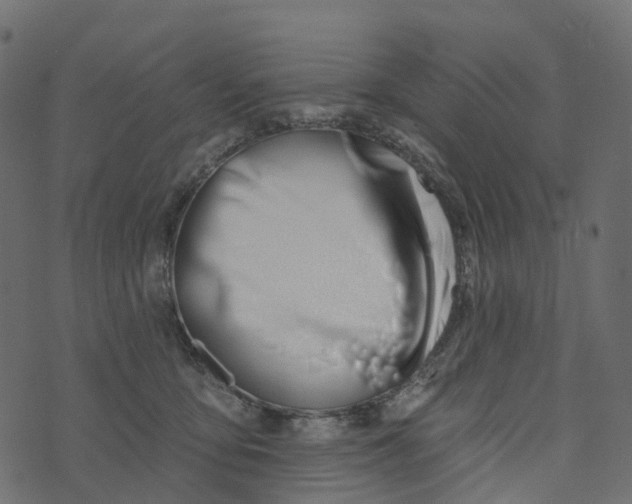 X0000073420419200608251555