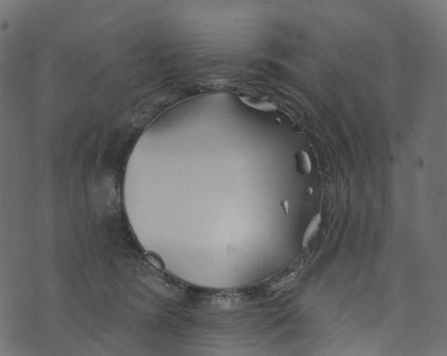 X0000073420420200608251555