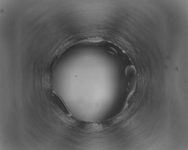 X0000073420421200608251555