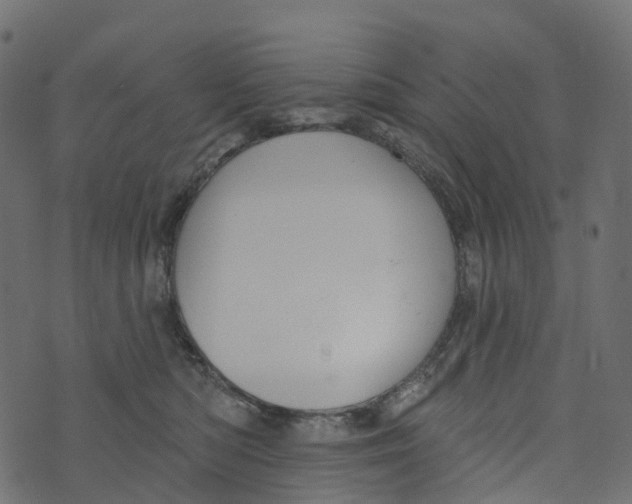 X0000073420422200608251555