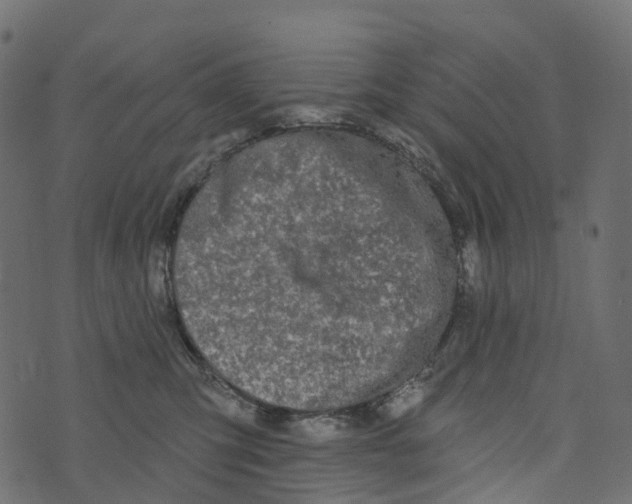 X0000073420423200608251555