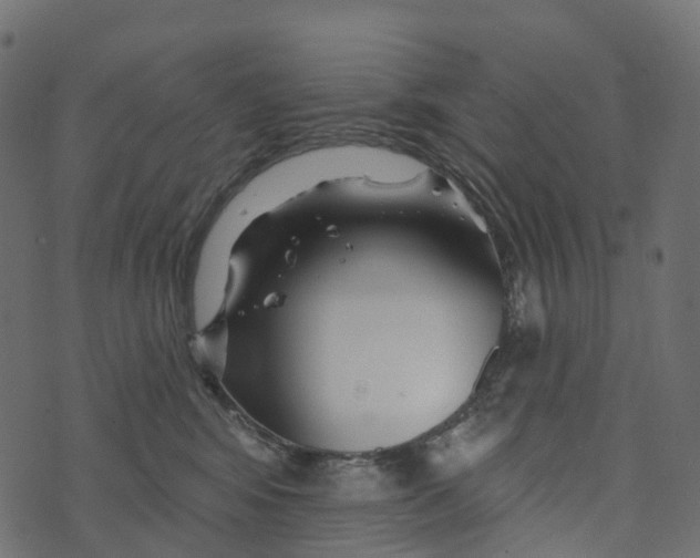 X0000073420424200608251555