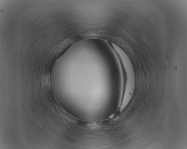 X0000073420425200608251555