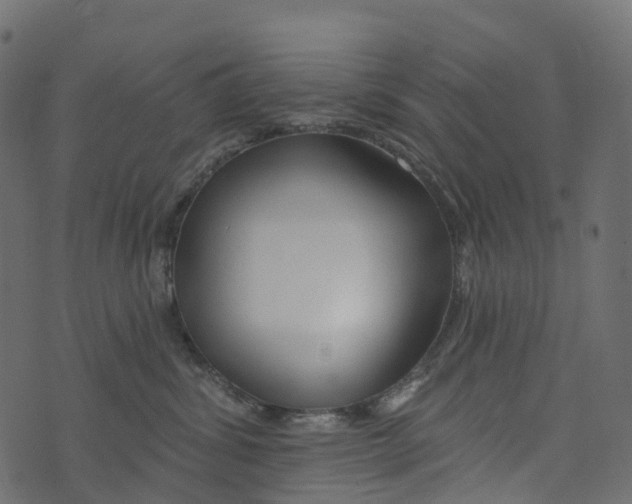 X0000073420428200608251555