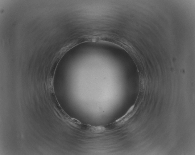 X0000073420429200608251555