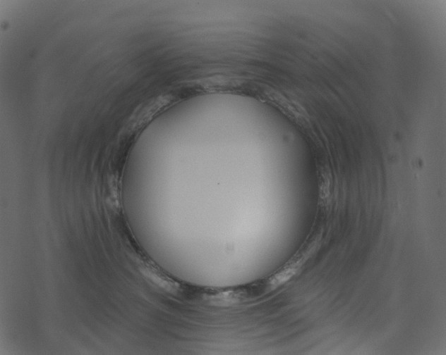 X0000073420430200608251555