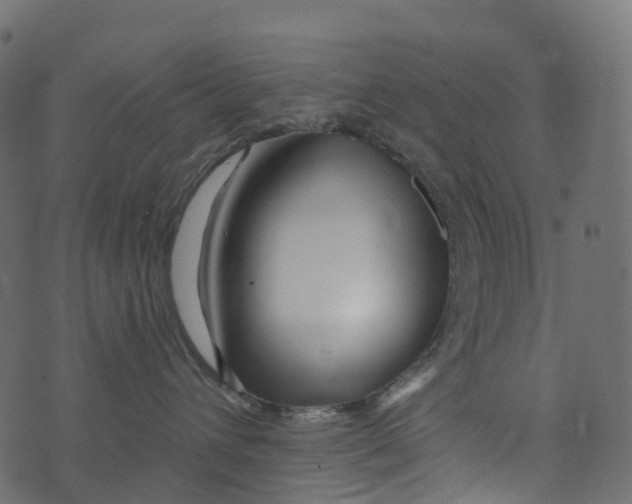 X0000073420432200608251555