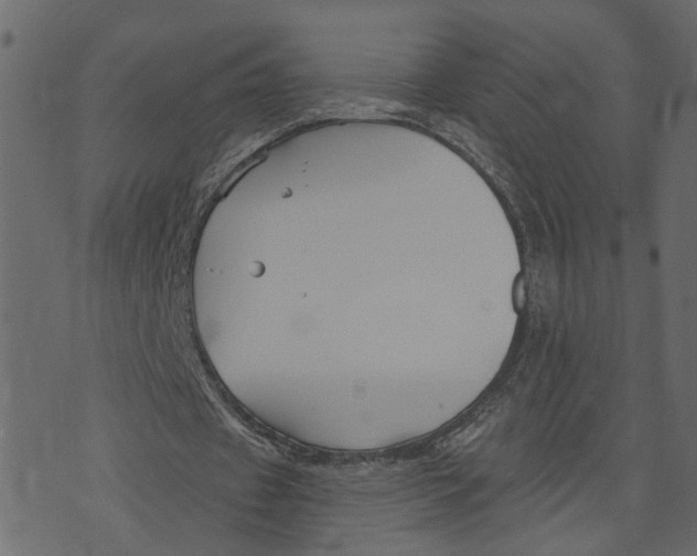 X0000073420433200608251554