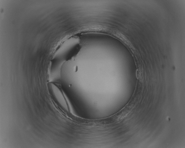 X0000073420434200608251554