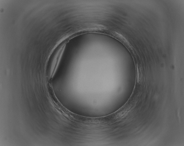 X0000073420435200608251554