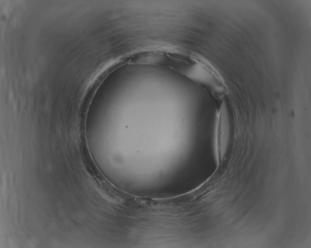 X0000073420436200608251554