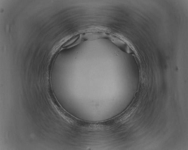 X0000073420437200608251554