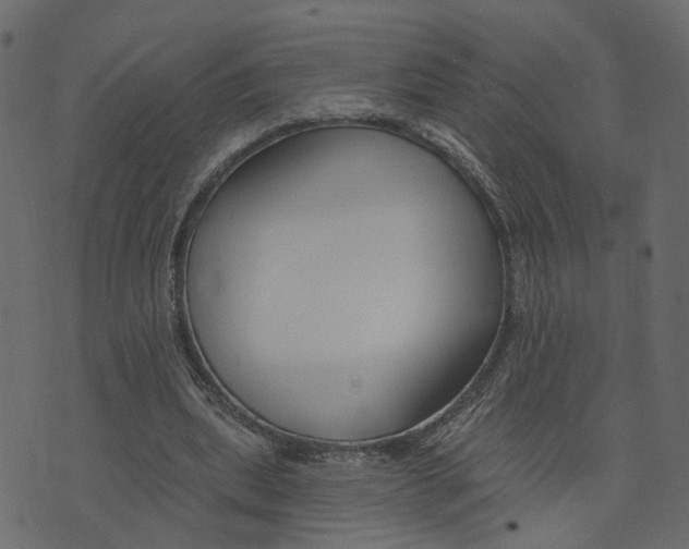 X0000073420439200608251554