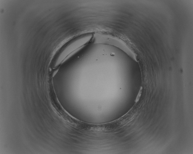 X0000073420440200608251554