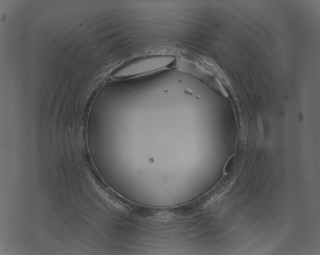 X0000073420441200608251554