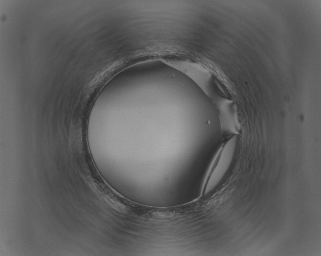 X0000073420442200608251554